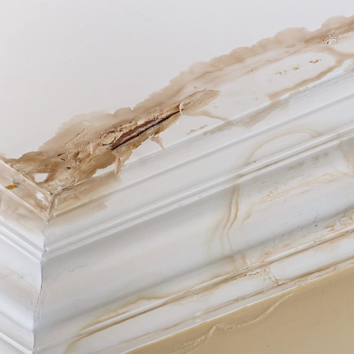 Roof leak inspections